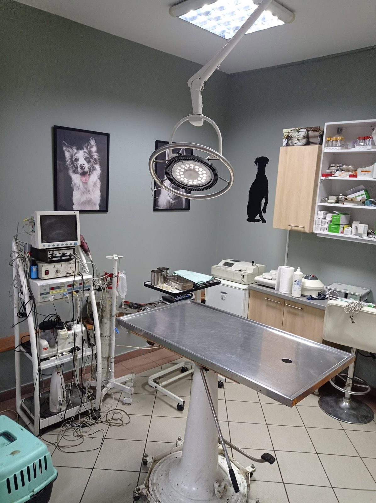 Opremljen prostor veterinarske ambulante